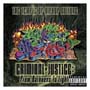 Temple of Hiphop Kulture - Criminal-Justice from Darkness to Light